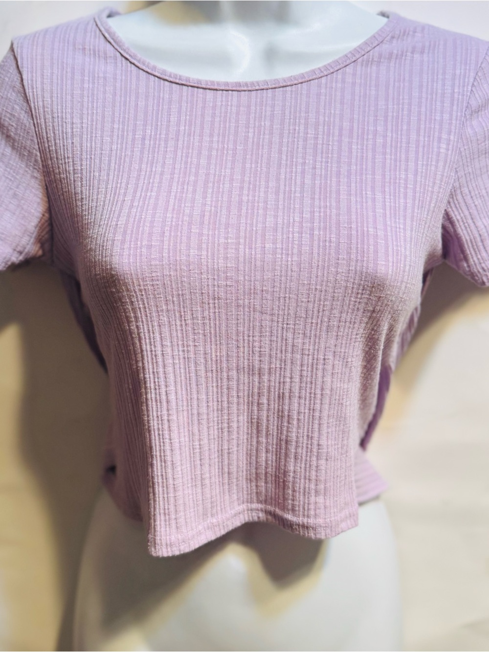 Better Be Ribbed Crop Tee in Light Lavender tie back